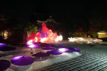 Fall Lights at Kodai-ji